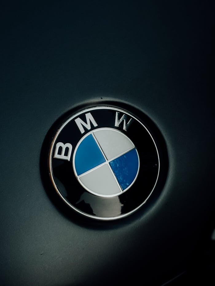 services-03 Detailed image of the iconic BMW logo displayed on a car hood.
